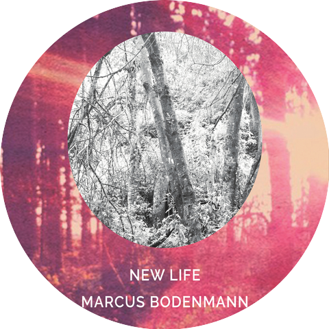 Marcus Bodenmann