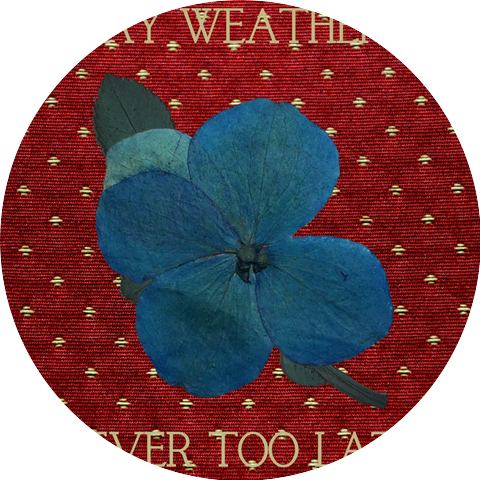 Kay Weathers
