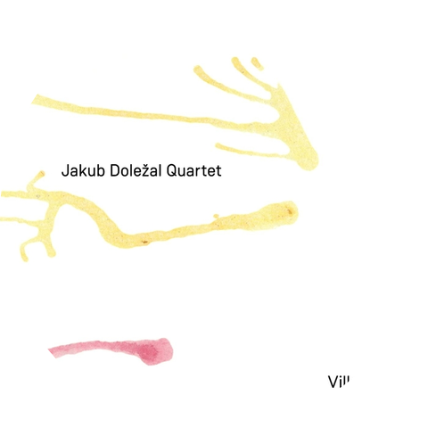 Jakub Dolezal Quartet