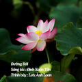 Lưu Ánh Loan