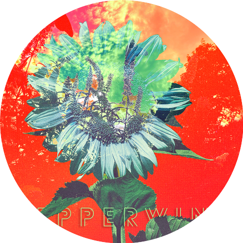 Pepperwine