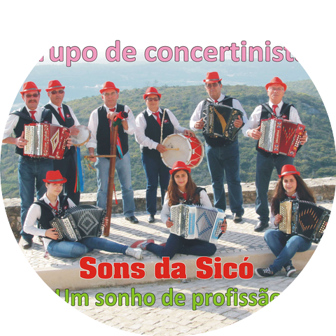Grupo de Concertinistas Sons da Sicó