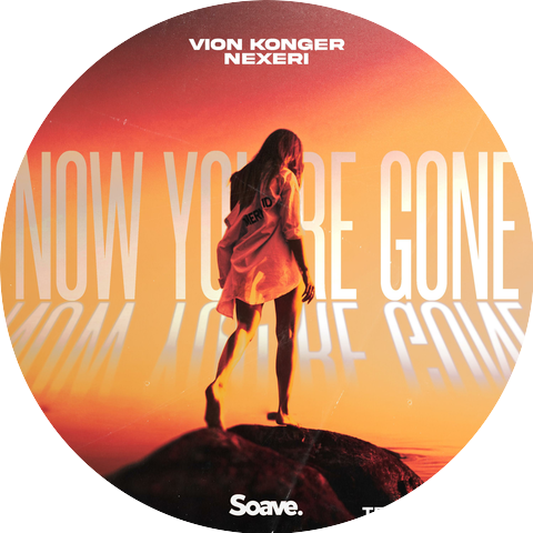 Vion Konger