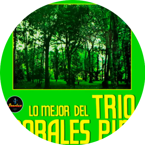 Trio Morales Pino