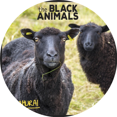 The Black Animals