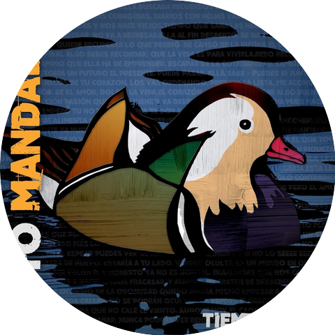 Pato Mandarin