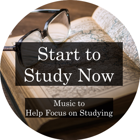 Study Success Group