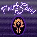 Purple Rains Band