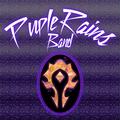 Purple Rains Band