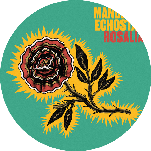Mandroid Echostar