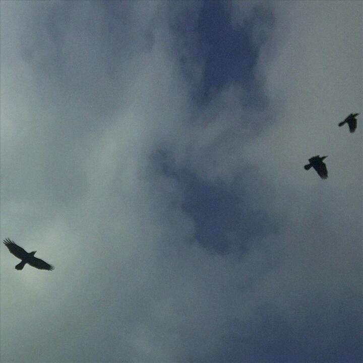 onDeadWaves