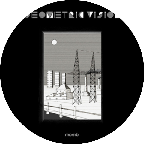 Geometric Vision