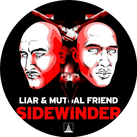 Liar & Mutual Friend