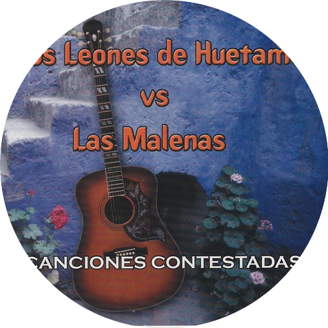 Los Leones De Huetamo vs. Las Malenas