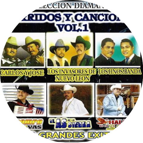 Corridos Y Canciones Vol.1