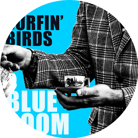 The Surfin' Birds