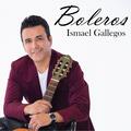 Ismael Gallegos