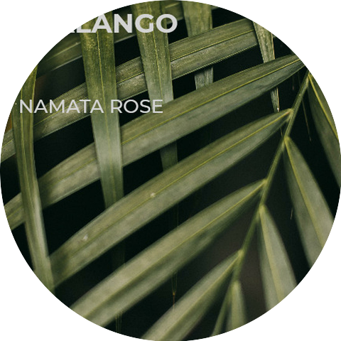 Namata Rose