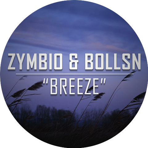 BollsN & Zymbio