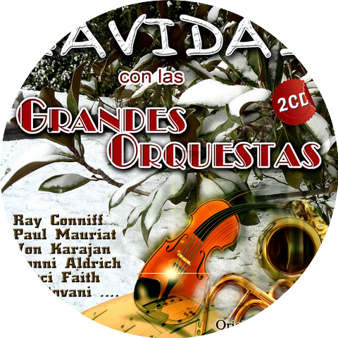 Ray Conniff Orchestra