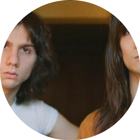 The Lemon Twigs