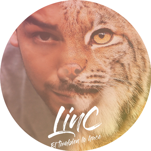 Lin C