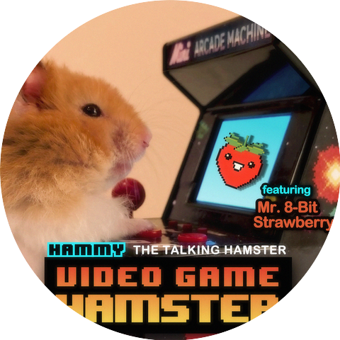 Hammy the Talking Hamster