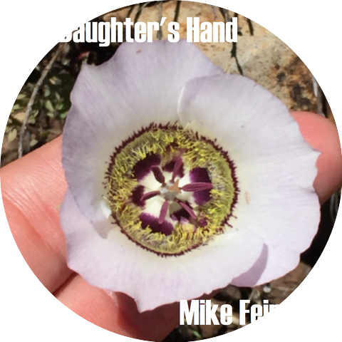 Mike Feinman