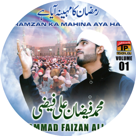 Muhammad Faizan Ali Faizi