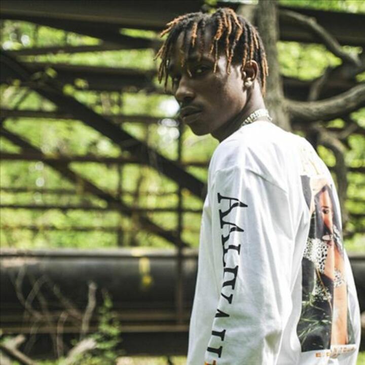 Mir Fontane