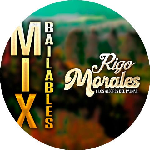 Rigo Morales y Los Alegres del Palmar