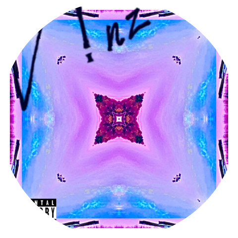 VNZ