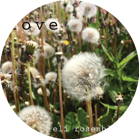 Eli Rosenblatt