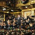 Wiener Philharmoniker Orchestra