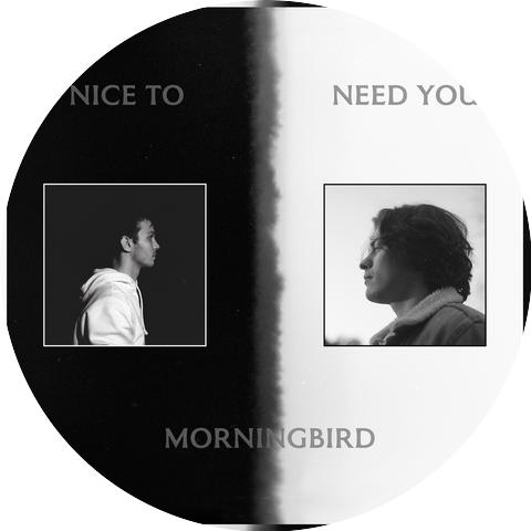 Morningbird