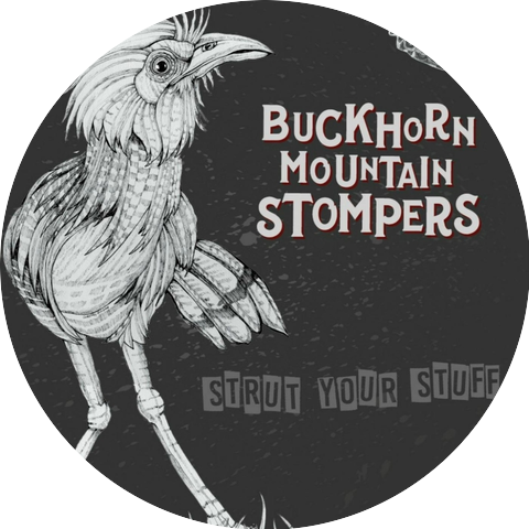 Buckhorn Mountain Stompers