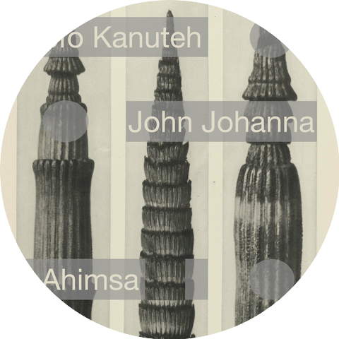 John Johanna