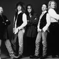 Kevin Cronin