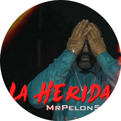 Mrpelon503