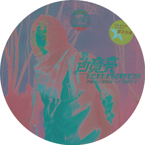 沙宝亮