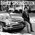 The Bruce Springsteen Band