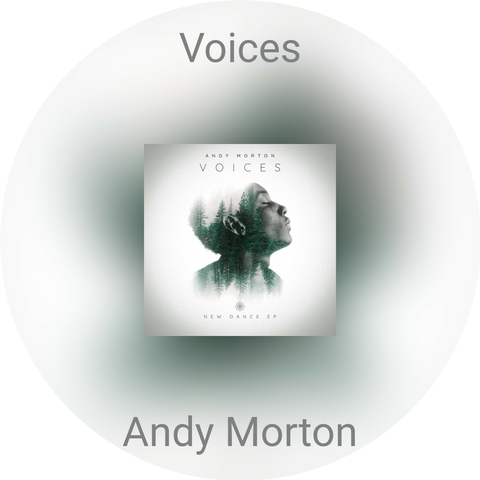 Andy Morton