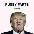 Pussy Farts