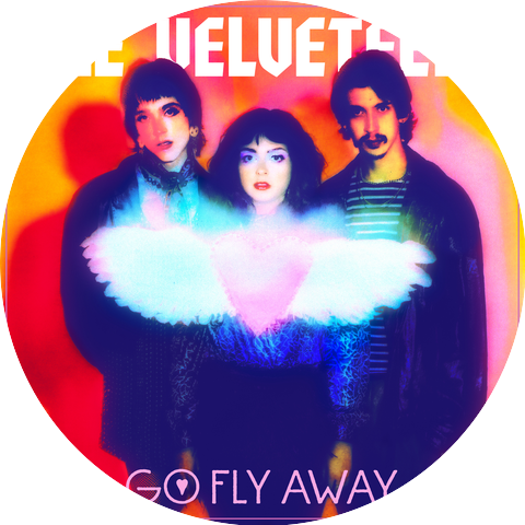 The Velveteers