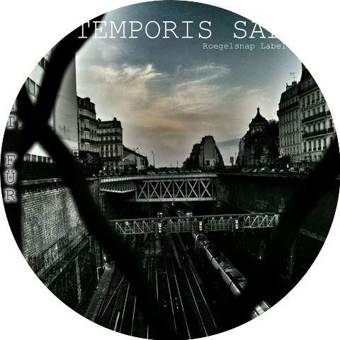 Temporis Saltus