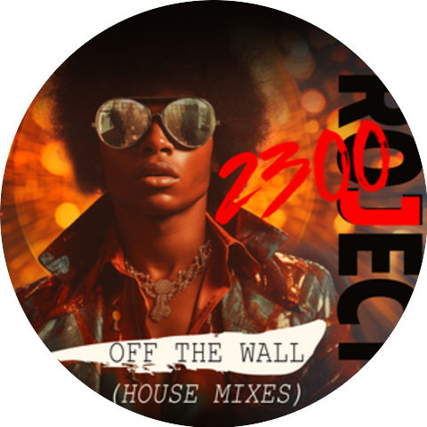 Miami House Moguls