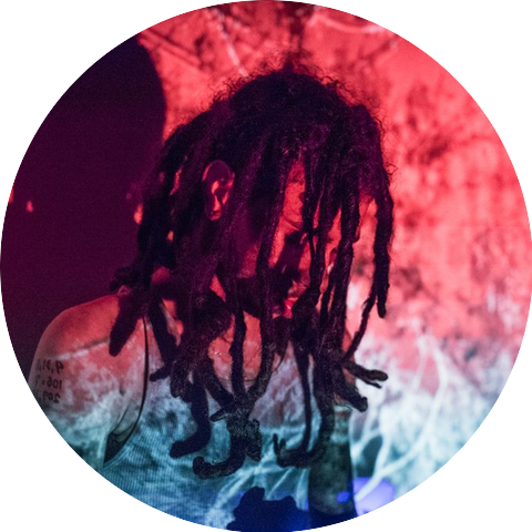 Robb Banks