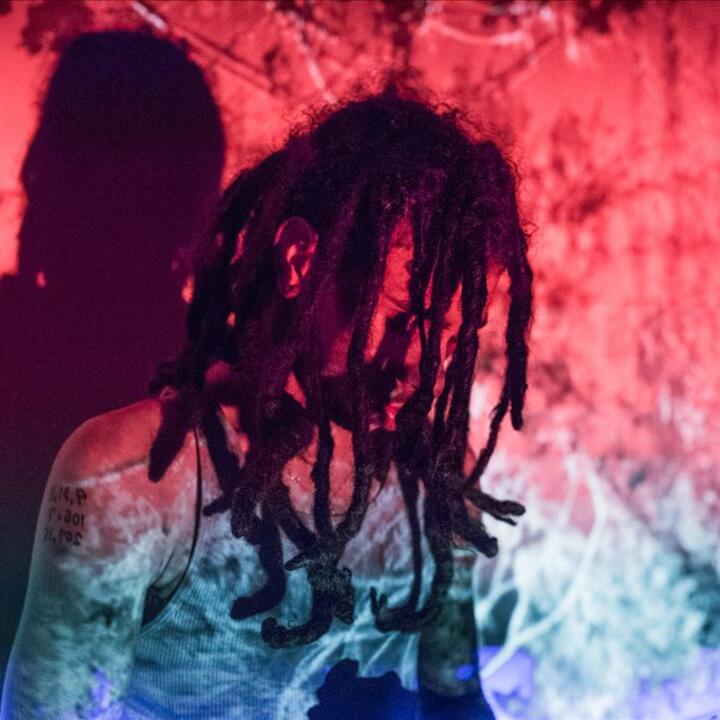 Robb Banks