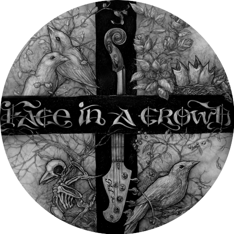 Face in a Crowd