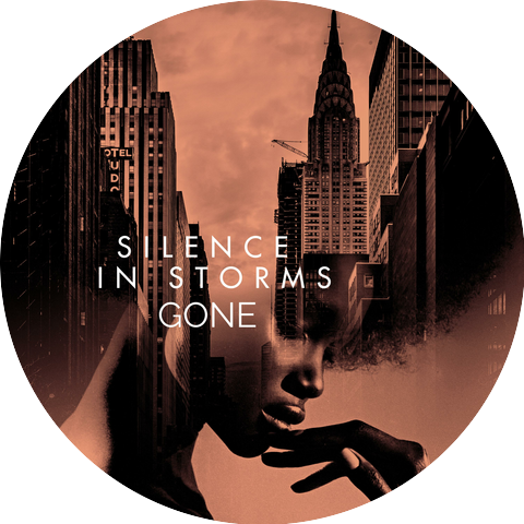 Silence In Storms